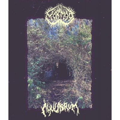 Ahulabrum / Mörmoo - Split LP